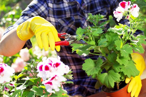 Garden maintenance in Purley with tidy lawn and hedges