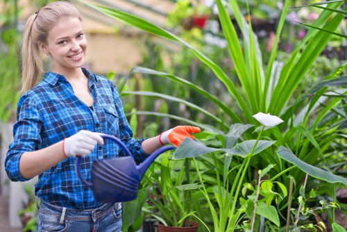 Garden waste clearance pricing in Purley with transparent load-based rates