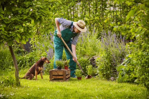 Professional hedge trimming in a Purley garden with neat green boundaries