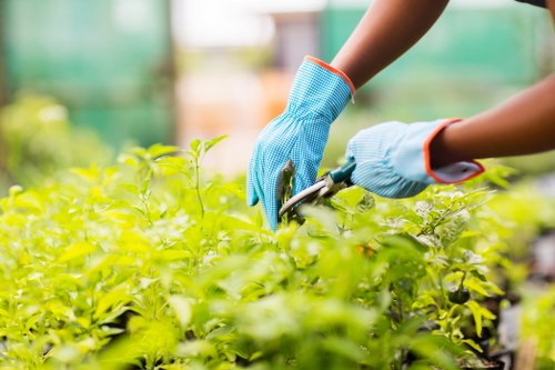 Accepted online payment methods for landscaping services