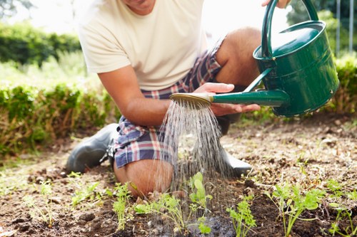Local garden landscaping with pathways and borders in Purley