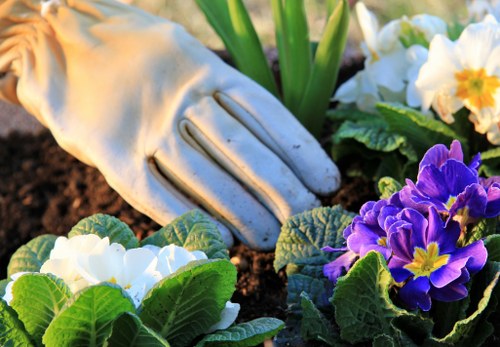 Landscapers in Purley planting shrubs and designing borders