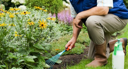 Garden waste and debris removal in Purley