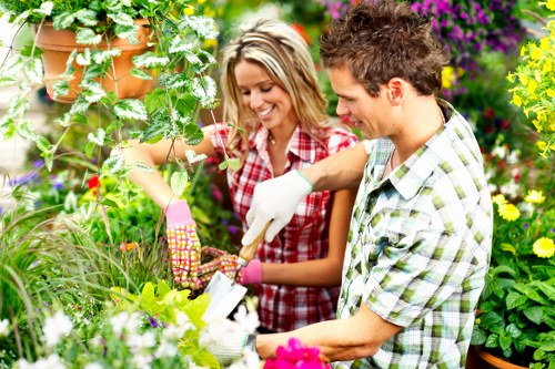 Professional Purley landscaping work with planting and outdoor design