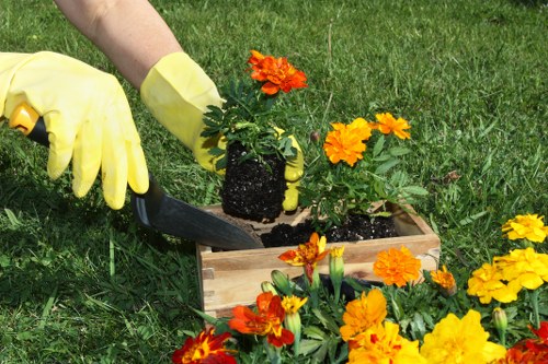 Inclusive landscaping services information for the Purley area