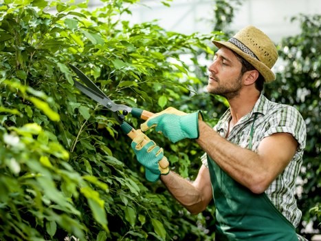 Low-carbon van supporting sustainable landscaping waste collection