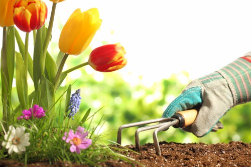 Professional landscaping work in Purley with lighting and pathways