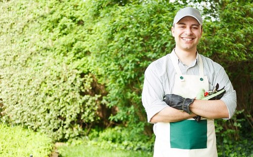 Risk assessment and safety checks for insured landscaping work