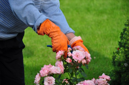 Professional fence repairs improving a Purley property