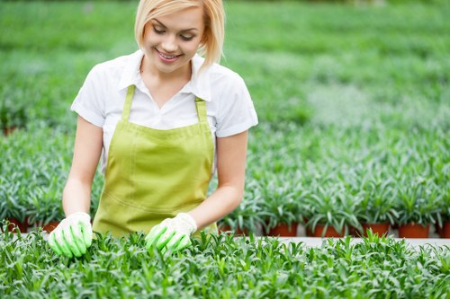 Seasonal garden maintenance tasks in a Purley outdoor space