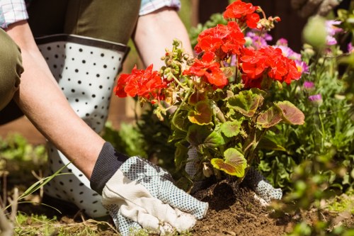 A user navigating Purley landscaping information with assistive technology