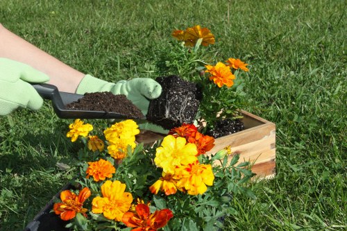 Low-maintenance flower bed design in a Purley front garden