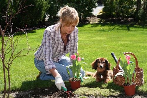 Free quote policy for landscaping and rubbish removal in Purley