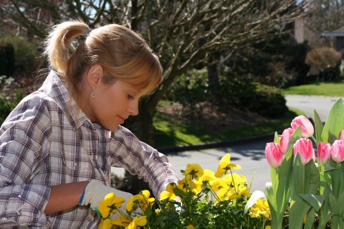 Soft planting borders for landscape gardening in Purley