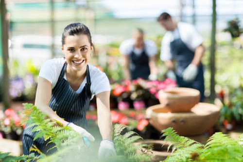 Professional garden maintenance in Purley with hedge trimming